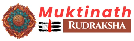 logo (1)