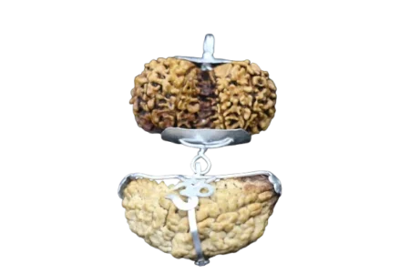 One Mukhi + Gaurishankar