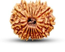 17 Mukhi Rudrarask