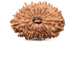 18 Mukhi Rudrarask